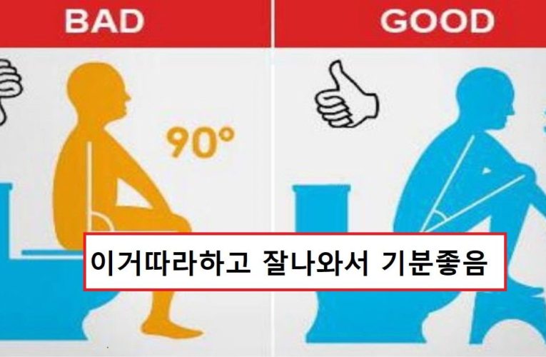 변비자들을 위한 쾌변을 부르는 배변자세