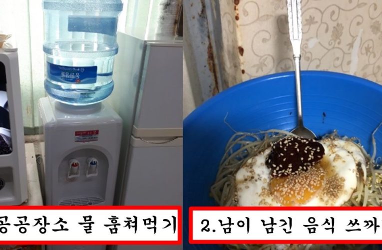 요즘같은 한국 살인물가에서 흙수저가 살아남는 바람직한 방법