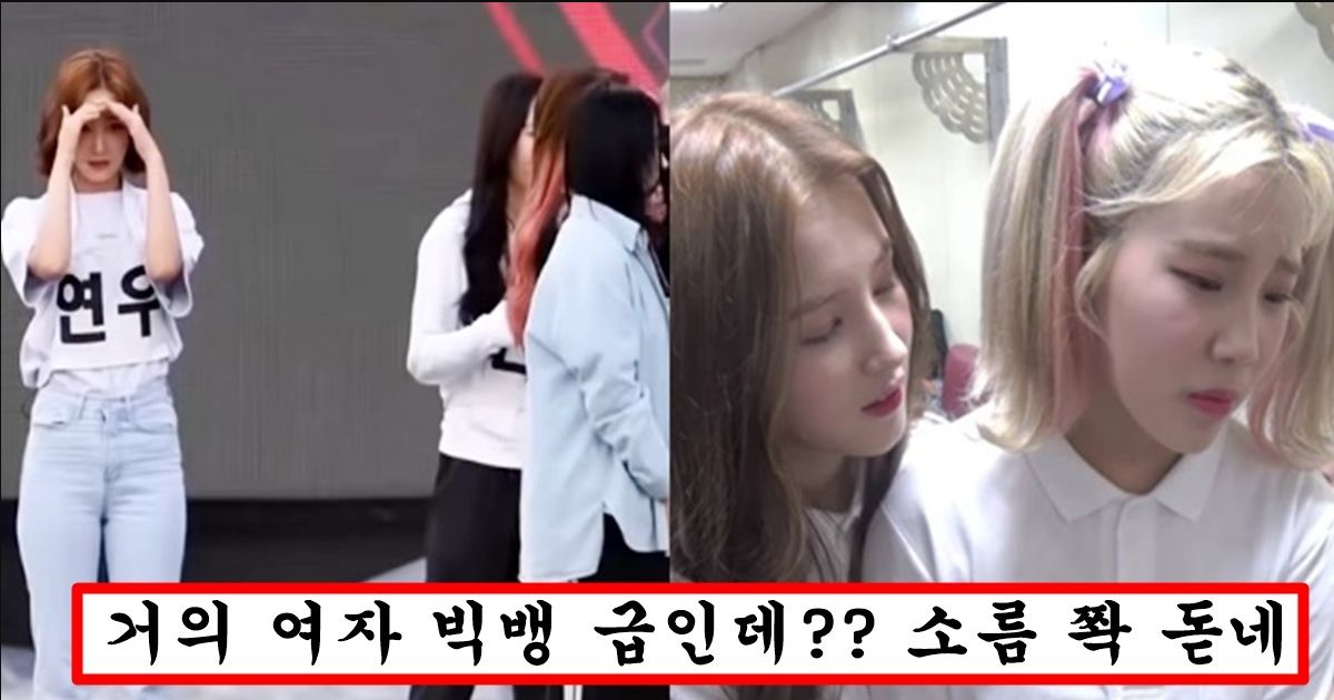 현재 갑작스레 해체된 모모랜드가 팬들한테 오지게 욕먹고 있는 소름돋는 이유