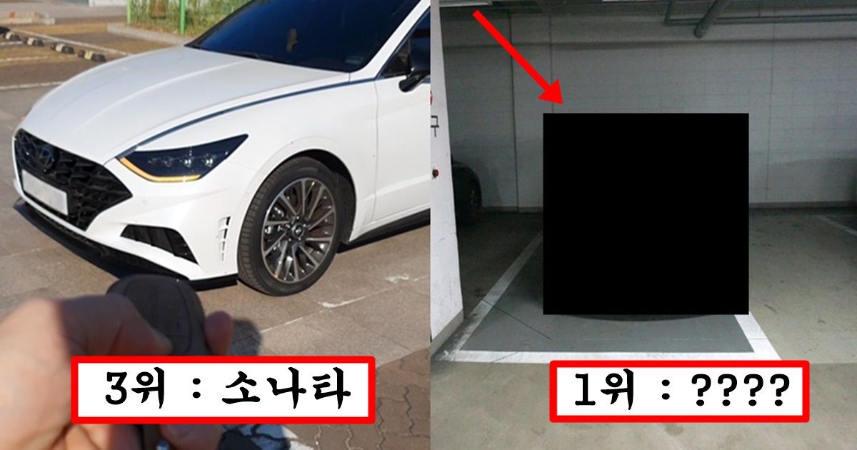 “무조건 첫 차는 이 차로 사세요” 전문가가 말해주는 사회 초년생이 무조건 사야한다는 차 top5