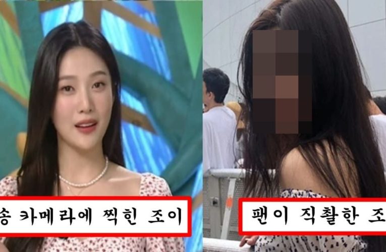 카리나,장원영 실물 예쁜척 하는거 보기 싫다며 팬이 올려버린 조이 실물 레전드