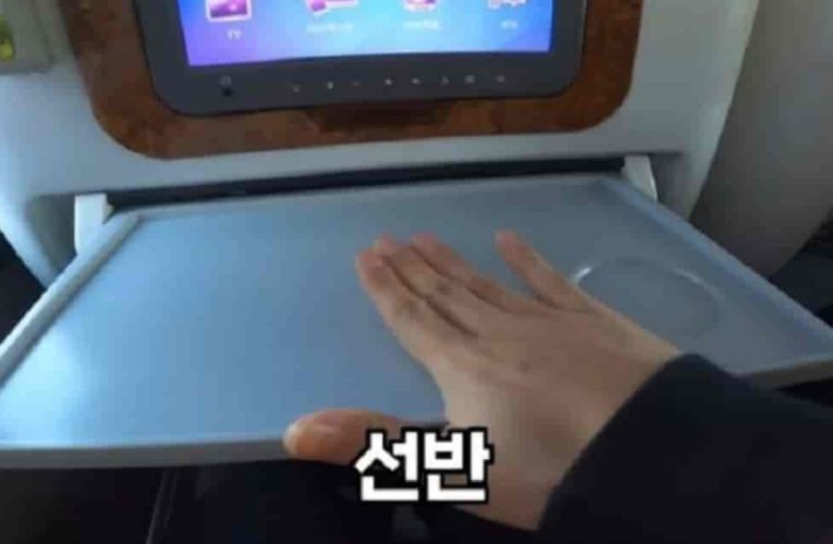 우리나라 프리미엄 고속버스 타본 후기
