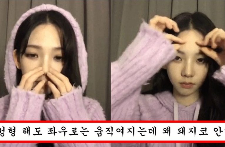 팬들이 성형했다고 하도 ㅈㄹ하자 열받아서 코랑 이마 주먹으로 때려서 인증하는 에스파 카리나