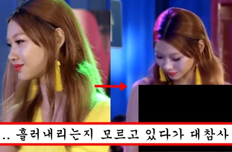 마른 몸매 때메 a 일 줄 알앗는데 무대 런웨이 중에 상의 흘러내려서 최소 d인거 인증해버린 정호연 몸매