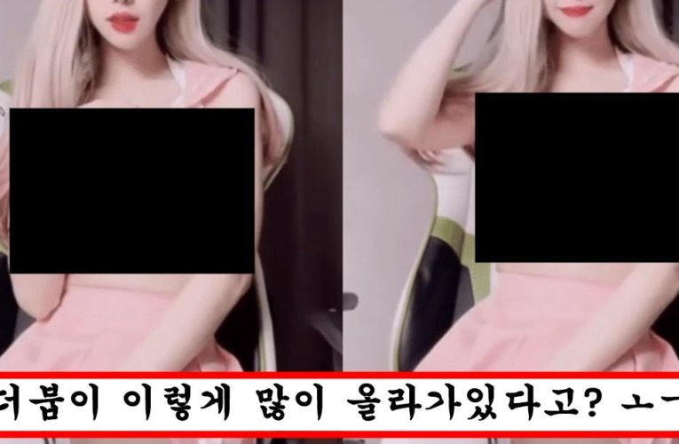 그 동안 하꼬였는데 언더붑 의상 하나로 순식간에 아프리카 원탑 찍어버린 여캠 의상 수준