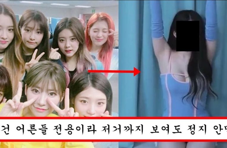 아프리카 bj로 데뷔해서 어른 컨셉 잡고 방송하는 정채연이랑 같은 그룹 아이돌 맴버