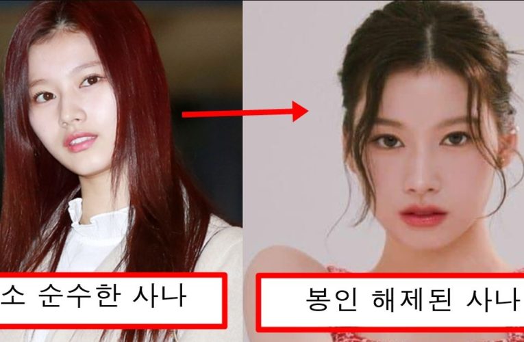 사람들이 말랐다고 볼륨감 없을거라고 하자 과감한 의상으로 볼륨감 과시한 트와이스 사나