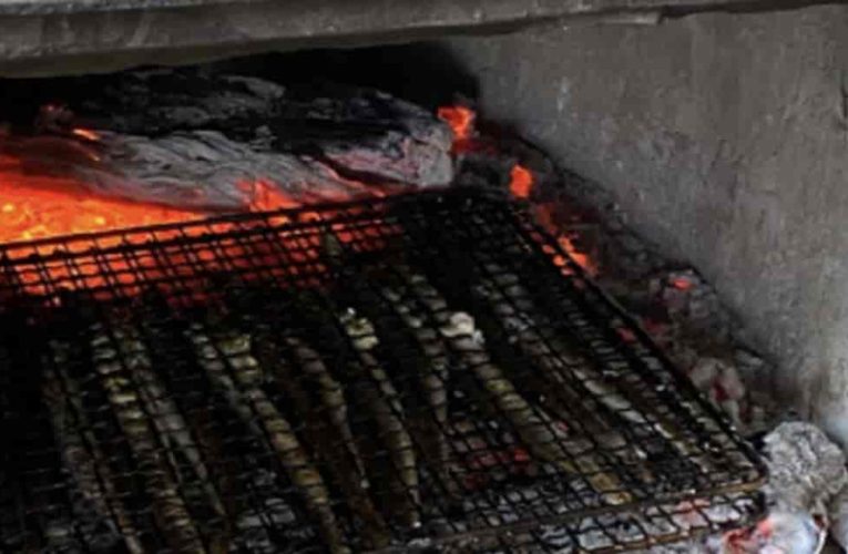 요즘 너무 잘 잡혀서 마리당 200원꼴에 존맛이라는 생선