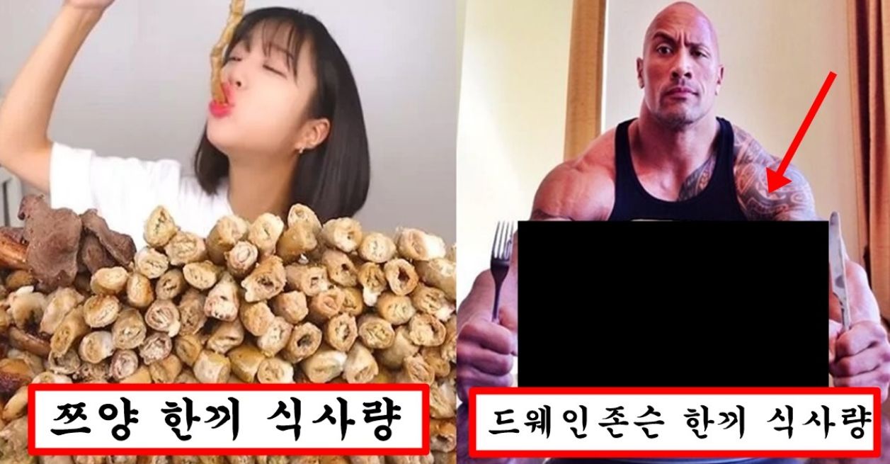 쯔양이랑 먹방 대결해서 이긴 드웨인 존슨 한끼 식사량