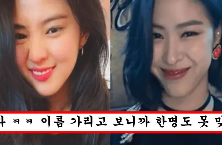 너무 닮아서 매니저들도 구분하기 힘들다는 연예인 top10