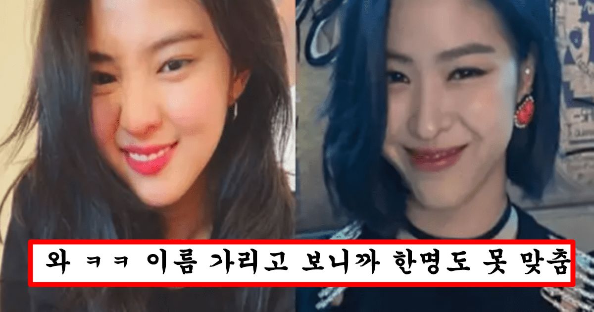 너무 닮아서 매니저들도 구분하기 힘들다는 연예인 top10