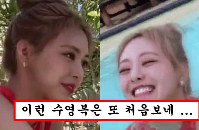 수영장에 사적으로 놀러간 있지 유나를 매니저가 찍어서 올려버림 ㅗㅜㅑ