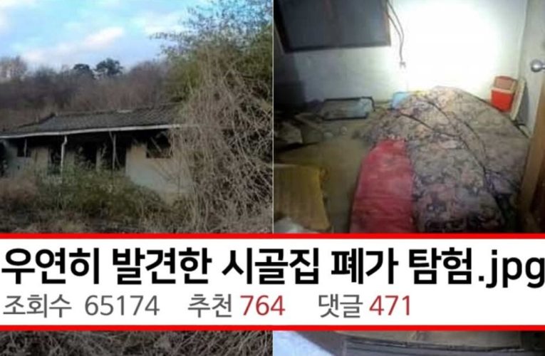 우연히 발견한 시골집 폐가 탐험하기