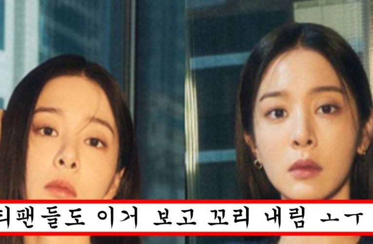 요즘 미드 처짐 논란 있자 묵직한 몸매로 오피스룩 공개해버린 설인아 몸매