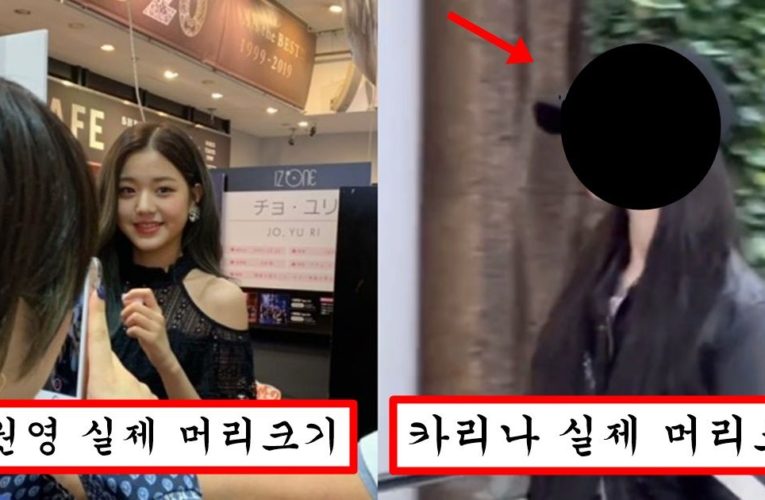 장원영이 얼굴 크기 탑이라는 말에 빡쳤는지 소두 인증 제대로 해버린 카리나 머리 크기 수준