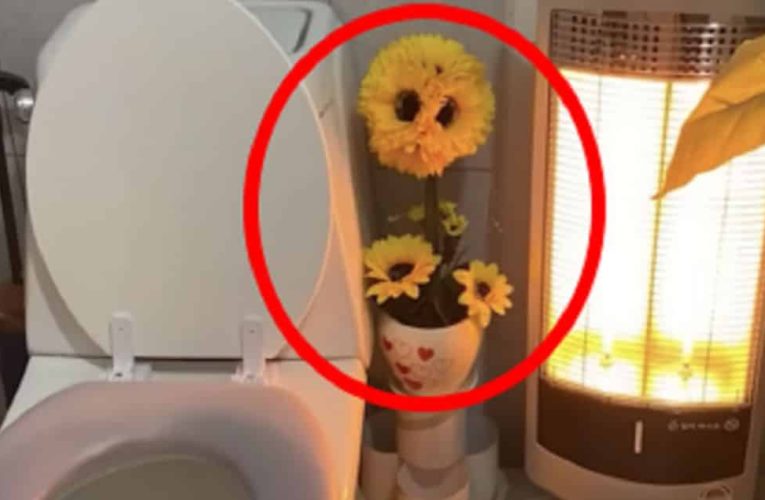 꽃집 화장실에 있던 수상한 화분의 정체