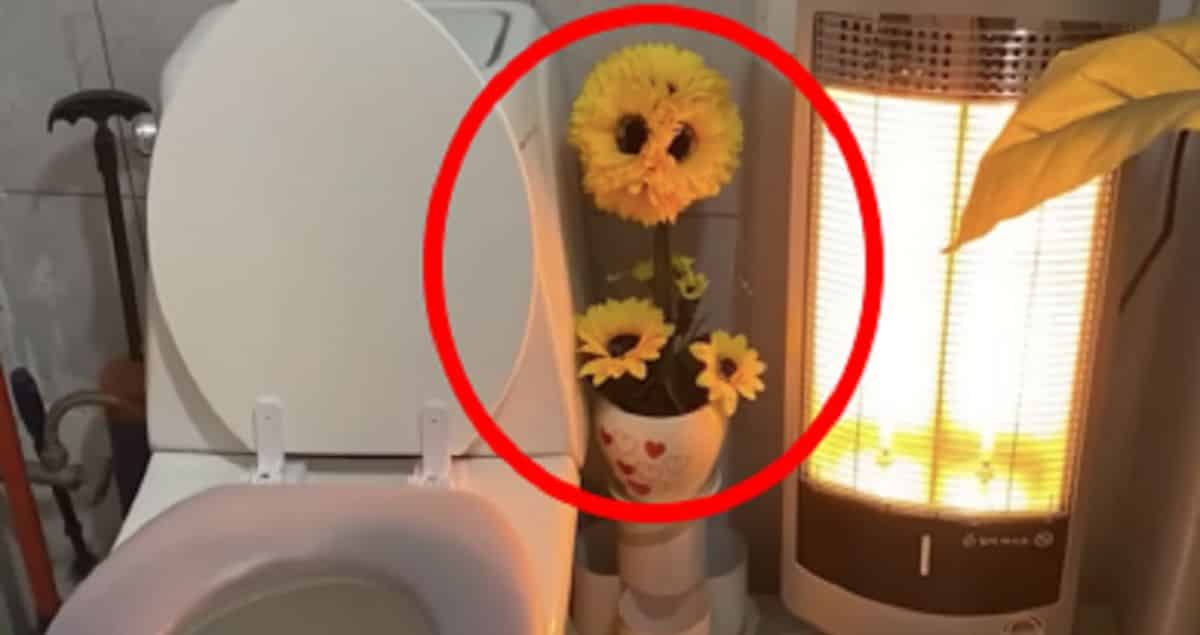 꽃집 화장실에 있던 수상한 화분의 정체