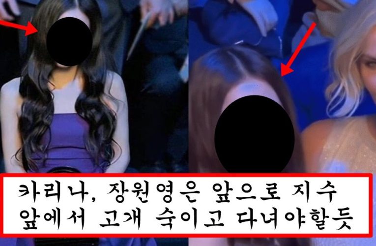 이 날 만큼은 카리나,장원영 다 꺾었다는 평 나오고 있는 블핑 지수 리즈 찍은날