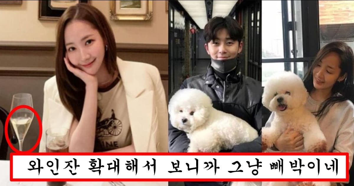 알고보니 빗썸 회장이랑 사귈때도 박서준 만난거 아니냐고 네티즌 수사대한테 걸려버린 박민영