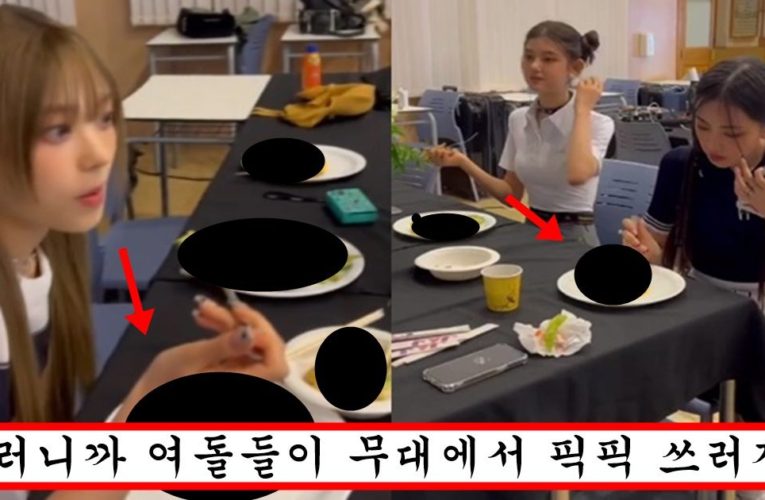 아동학대 아니냐고 까지 말 나오고 있는 뉴진스의 충격적인 한 끼 식사량