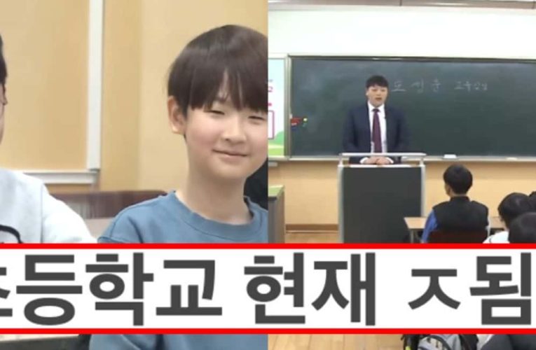 초등교사가 말하는 요즘 초딩 교실 분위기 ..