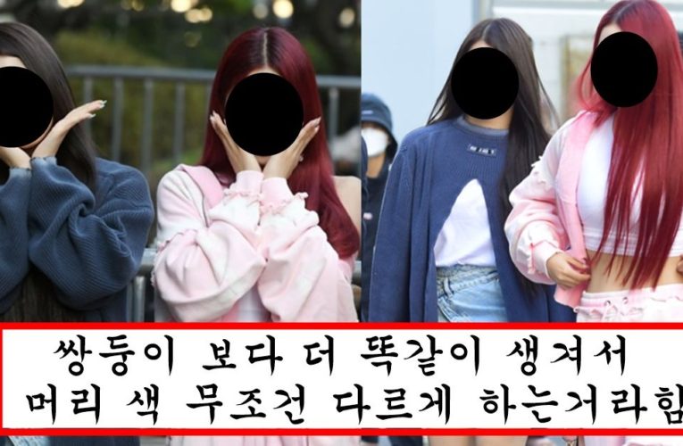 같은 그룹인데 얼굴이 너무 똑같이 생겨서 엄마도 착각해버렸다는 여자 아이돌 맴버