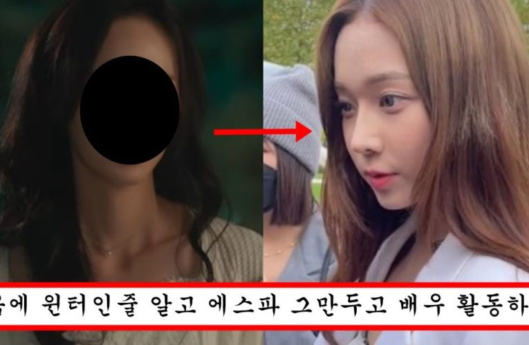 아무리 봐도 성형외과 가서 “윈터랑 똑같이 성형해주세요” 라고 한 거 같다고 논란중인 여배우