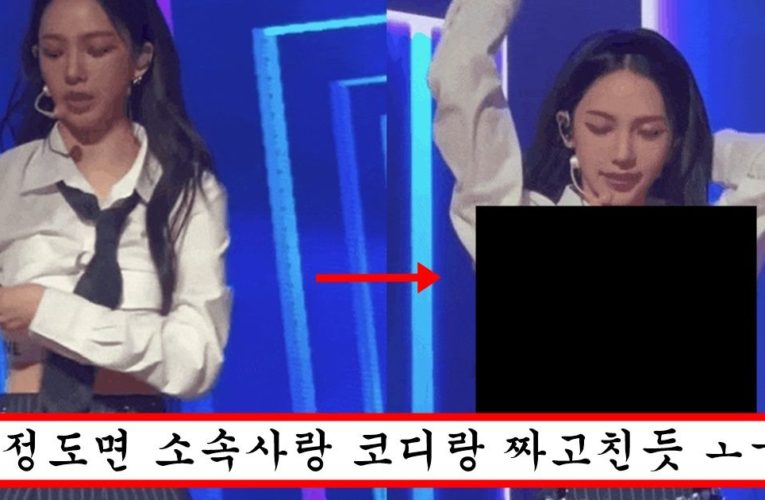 크롭 교복 무대의상으로 입었는데 너무 묵직해서 옷 올라가 언더붑 돼서 다 보여줘버린 카리나