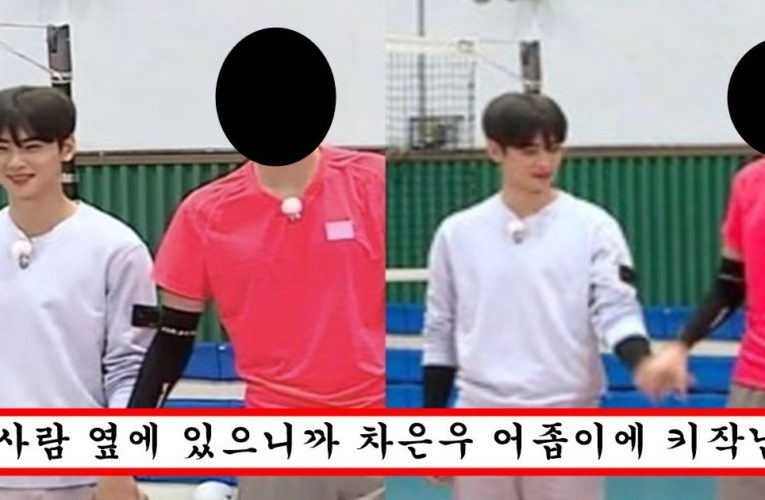 얼굴도 잘생기고 몸도 좋아서 완벽남인 줄 알았는데 000 옆에 섰다가 그냥 초라해져버린 차은우 대참사