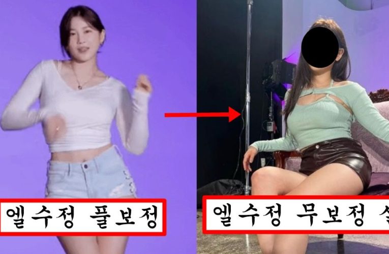 얼마전 몸매로 쇼츠에서 화제 됐던 엘수정의 무보정 실물 수준