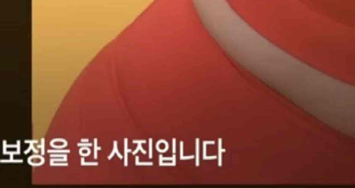 SNS에 올라오는 바디 프로필의 진짜 실체