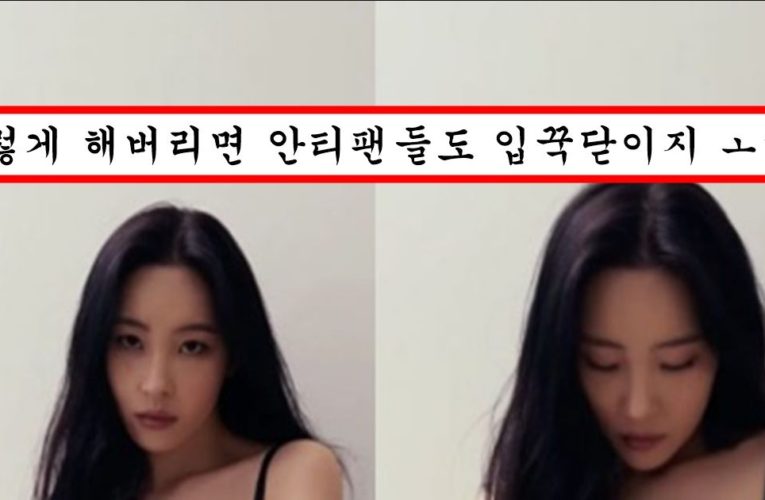 팬들이 수술했냐고 하자 속옷만 입고 인스타에 인증해버린 선미