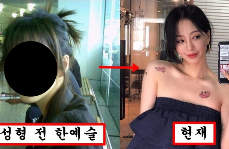 최근 호빠 남친이랑 헤어졌는지 호빠 남친이 복수 하겠다고 뿌려버린 한예슬 과거 성형전 사진