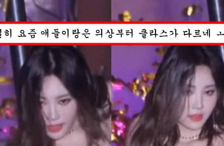 제니,카리나 같은 요즘 애들이 섹시하는 척 하는거 보기 싫었는지 무대에서 육덕 섹시 정점 찍어버린 걸스데이 유라