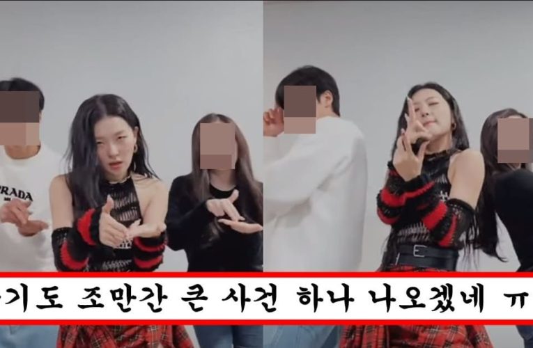 눈치 1도 없어서 범죄자 두 명 데리고 숏츠 영상 찍었다가 팬들한테 욕먹고 있는 레드벨벳 슬기