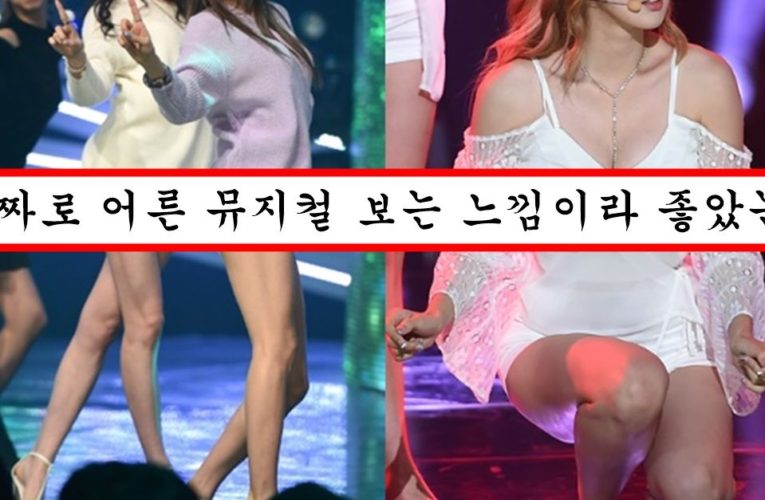 한 때 과감한 의상과 퍼포먼스로 엄청 잘나갔는데 방통위 제재 시작되면서 폭망해버린 걸그룹