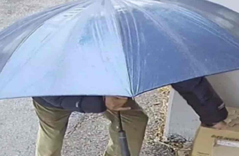 요즘 노인들이 저지르고 짭짤하게 돈벌이 한다는 행동