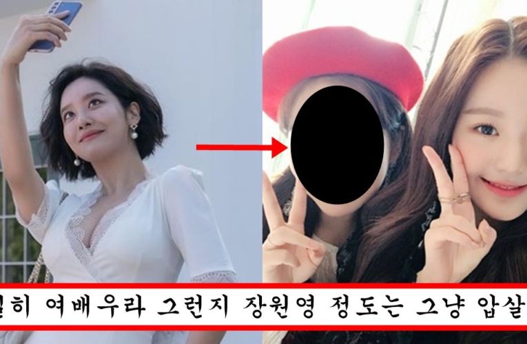 장원영 옆에 섰는데도 장원영보다 얼굴 작아서 장원영 일반인행 시켜버린 더 글로리 혜정 미모