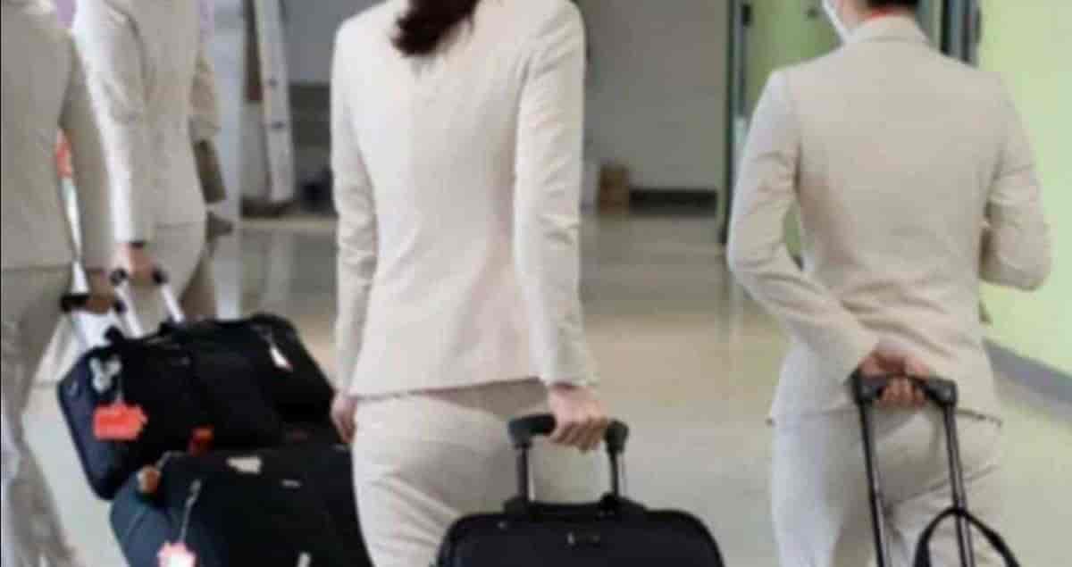승무원이 치마만 입는 이유