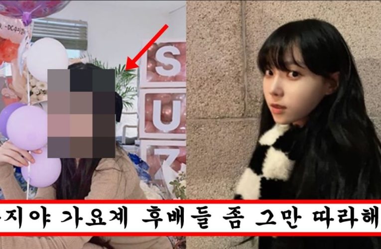 “나이 30 넘더니 어려보이고 싶었나?” 윈터머리 따라했다가 본전도 못 찾고 대참사 나버린 수지