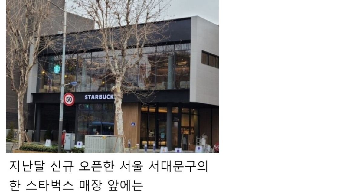 한 스타벅스 매장 앞에 썩어버린 가로수가 방치된 이유