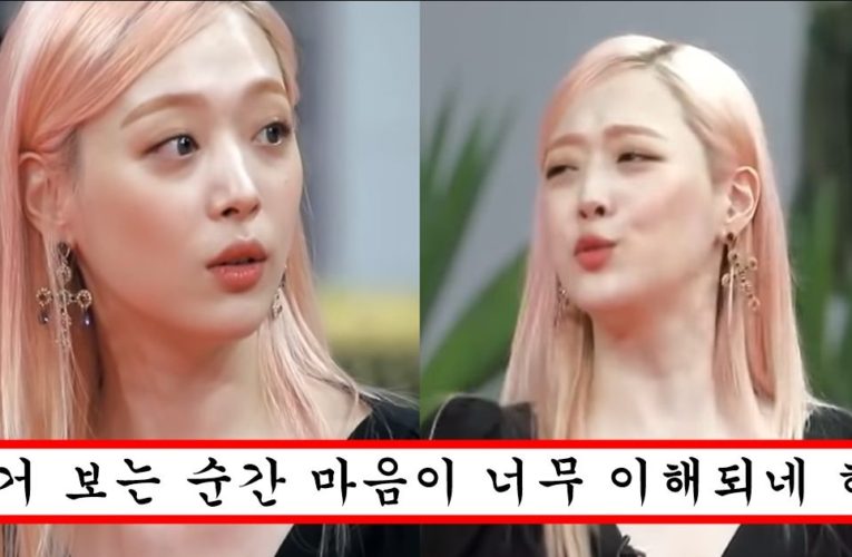 오늘 갑자기 재조명 되기 시작한 설리가 극단적 선택을 할 수 밖에 없었던 이유