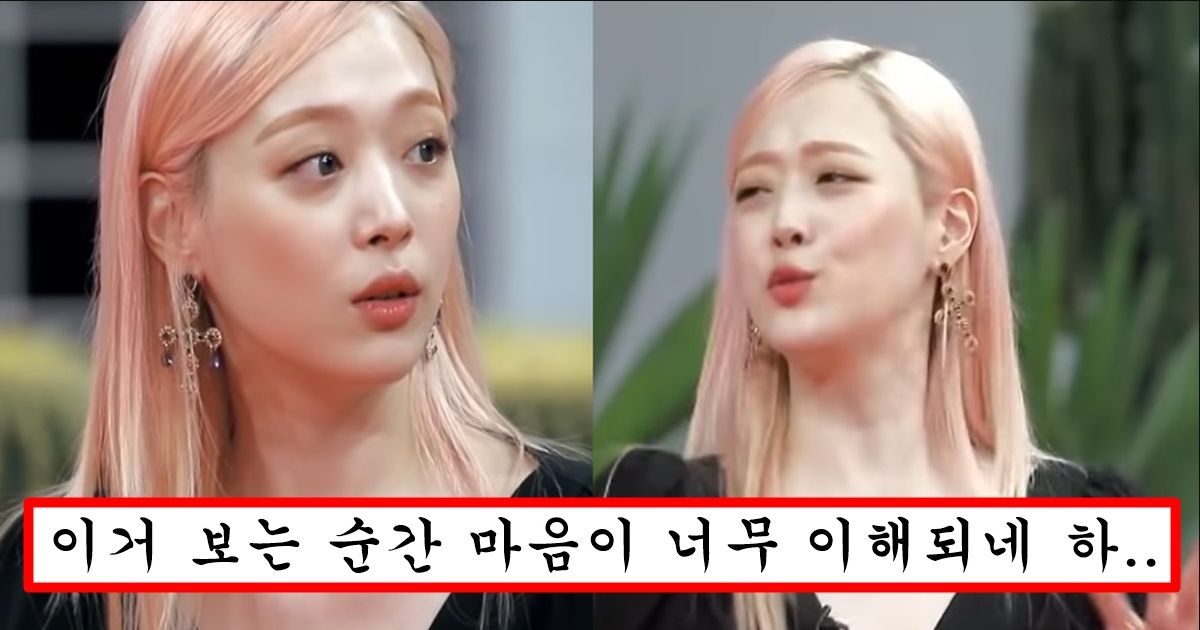 오늘 갑자기 재조명 되기 시작한 설리가 극단적 선택을 할 수 밖에 없었던 이유
