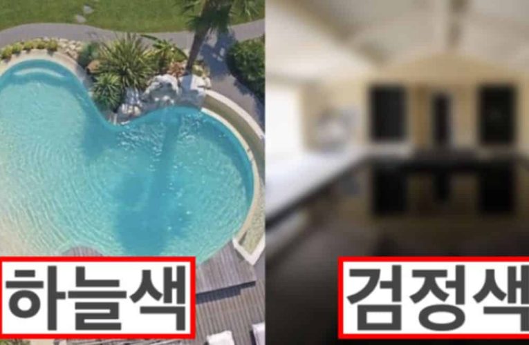 수영장 바닥이 대부분 파란색 계열인 이유