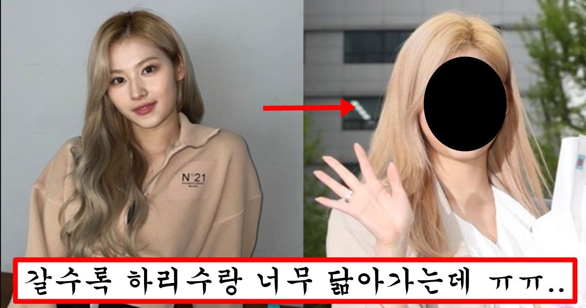 나이 30되더니 훅 가버려서 남상 되어버렸다는 트와이스 사나 대참사