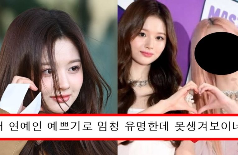 일정때문에 프랑스 갔다가 예쁘기로 유명한 프랑스 연예인들 다 일반인행 시키고 한국 위상 떡상시킨 엔믹스 설윤