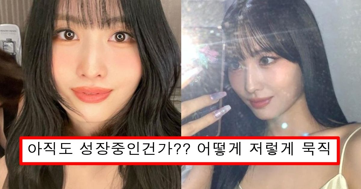 김희철이 보고 헤어진거 후회된다고 까지 했던 최근 더 묵직해져버린 모모 몸매 레전드 ㅗㅜㅑ