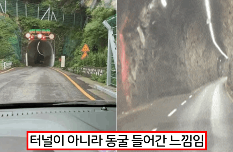 혹시 여기 가본 사람 한국에 딱 하나 밖에 없다는 신기한 터널 움짤