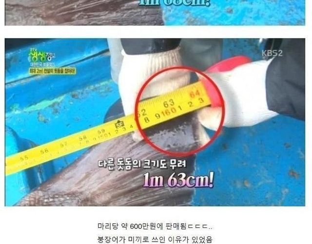 전설로 남은 생생정보통 낚시편 ㄷㄷ