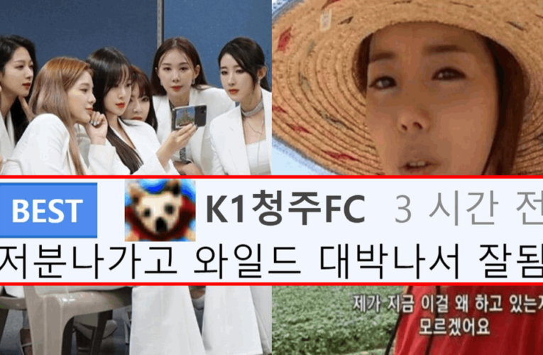 걸그룹 탈퇴사유 중 레전드